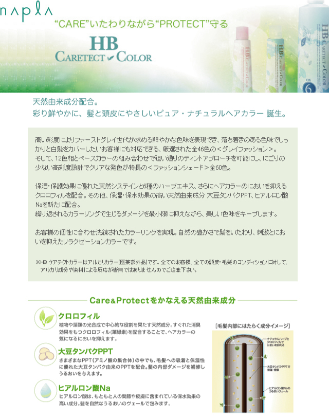 HB CARETECT COLOR 